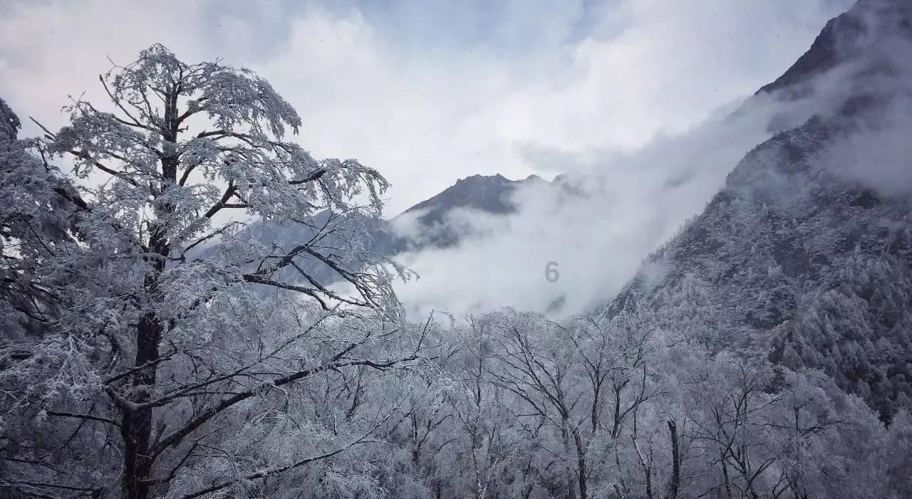 这东西突然火了!网友跟着《甄嬛传》自制,医生提醒