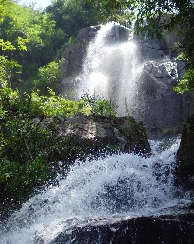 拿下天王山!天津女排再横扫上海队,李盈莹无视三人防守暴力后三