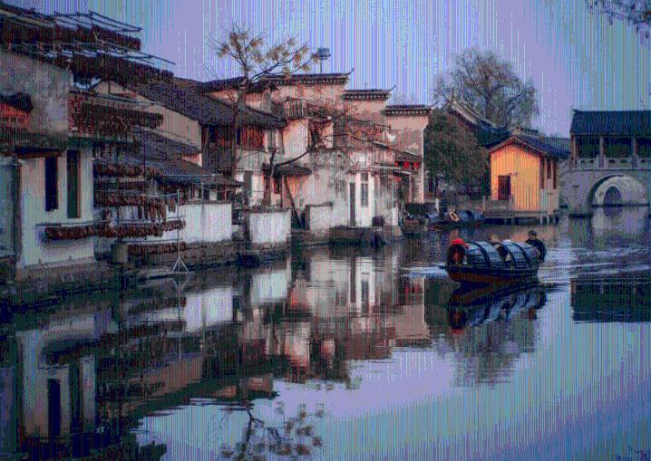 营救小乌龟